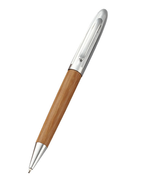 Bamboo Pen