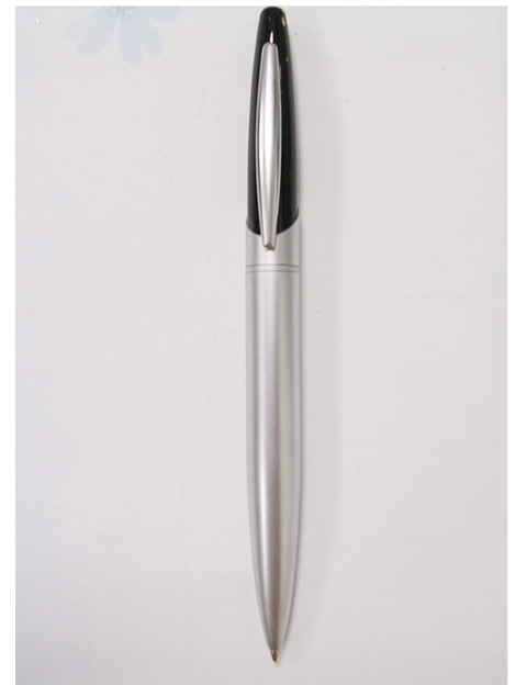 Metal Pen