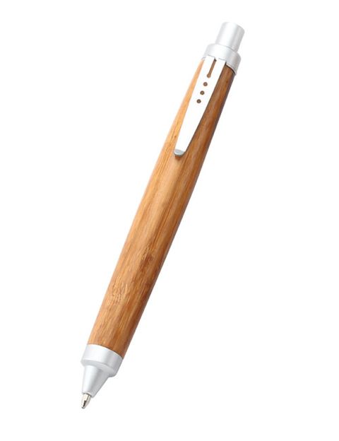 Bamboo Pen